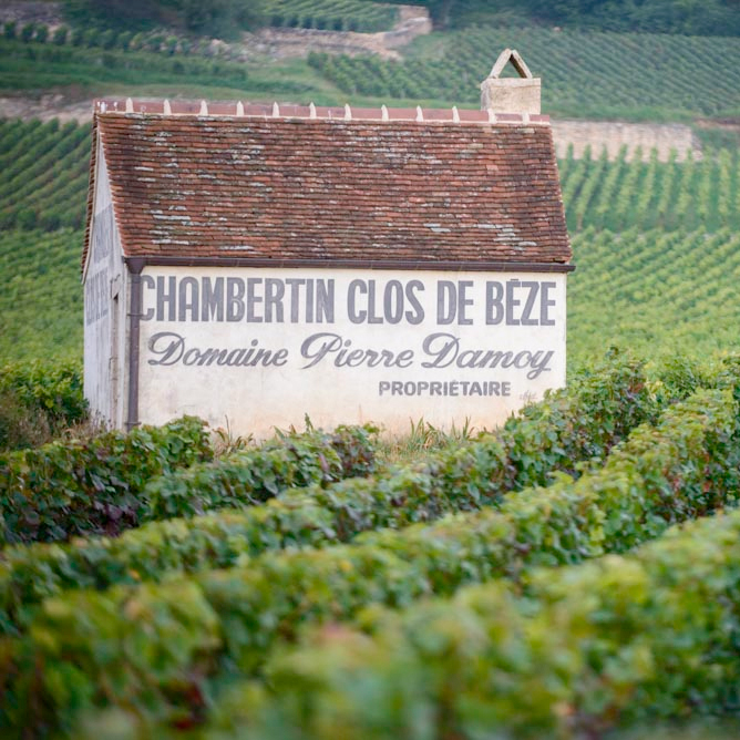 Domaine Pierre Damoy